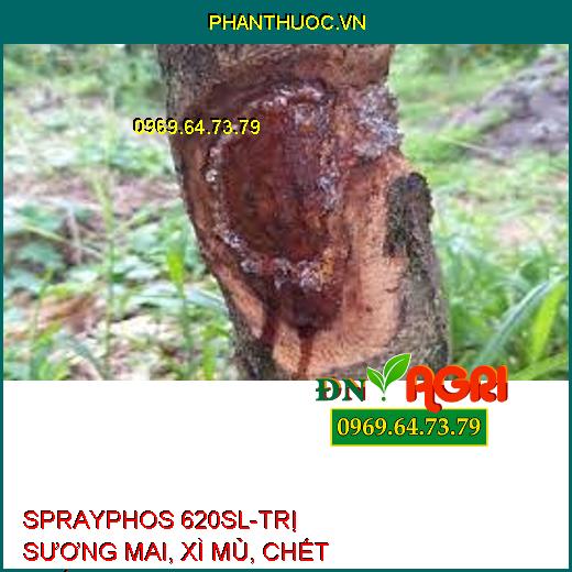 SPRAYPHOS 620SL-TRỊ SƯƠNG MAI, XÌ MỦ, CHẾT NHÁNH