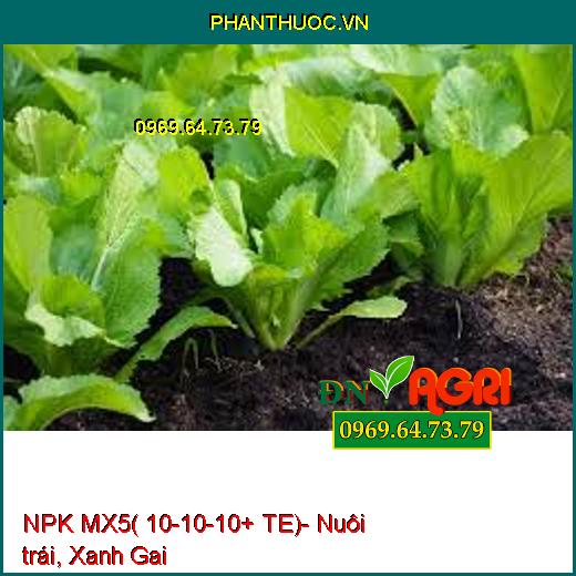 NPK MX5( 10-10-10+ TE)- Nuôi trái, Xanh Gai