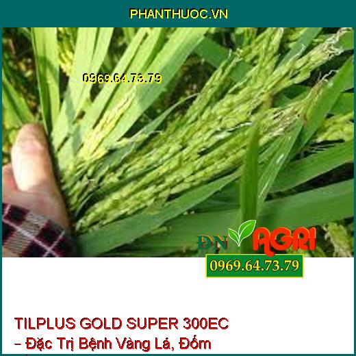 TILPLUS GOLD SUPER 300EC – Đặc Trị Bệnh Vàng Lá, Đốm Vằn