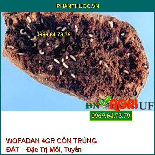 WOFADAN 4GR CÔN TRÙNG ĐẤT – Đặc Trị Mối, Tuyến Trùng, Rệp