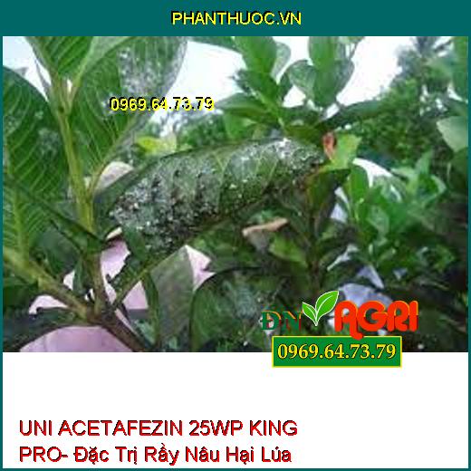 UNI ACETAFEZIN 25WP KING PRO- Đặc Trị Rầy Nâu Hại Lúa