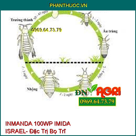 INMANDA 100WP IMIDA ISRAEL- Đặc Trị Bọ Trĩ