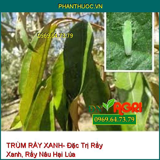 TRÙM RẦY XANH- Đặc Trị Rầy Xanh, Rầy Nâu Hại Lúa