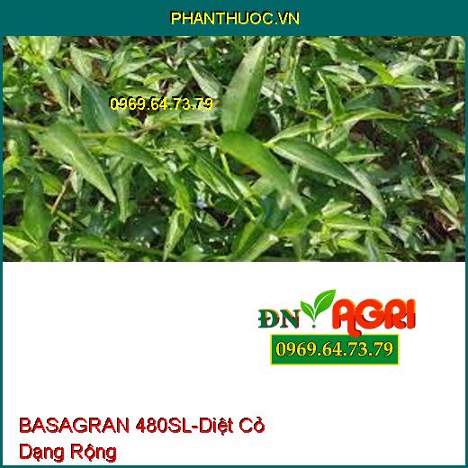 BASAGRAN 480SL-Diệt Cỏ Dạng Rộng