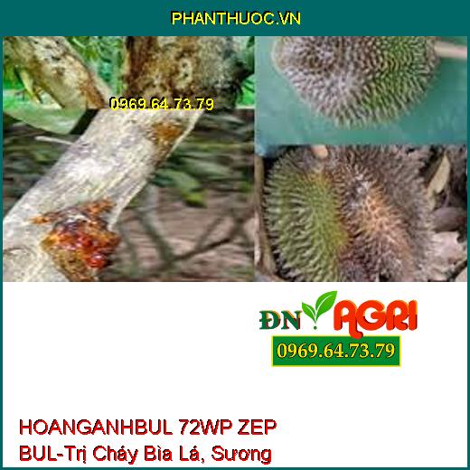 HOANGANHBUL 72WP ZEP BUL-Trị Cháy Bìa Lá, Sương Mai