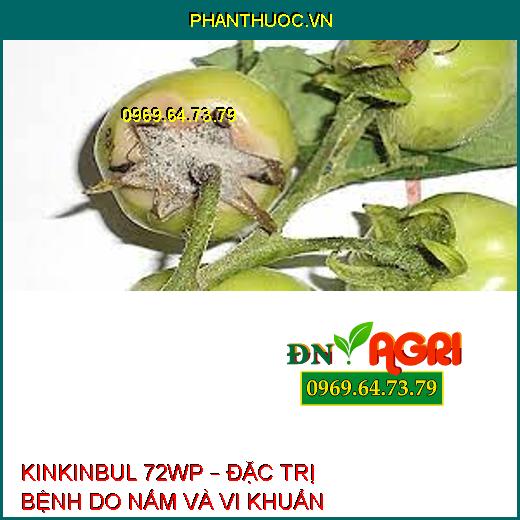 KINKINBUL 72WP – ĐẶC TRỊ BỆNH DO NẤM VÀ VI KHUẨN