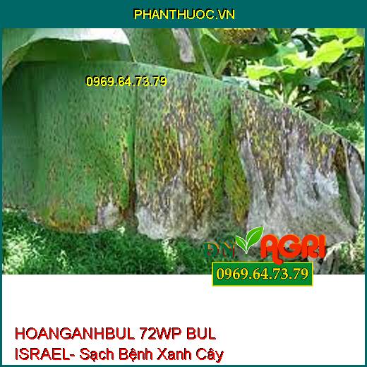 HOANGANHBUL 72WP BUL ISRAEL- Sạch Bệnh Xanh Cây