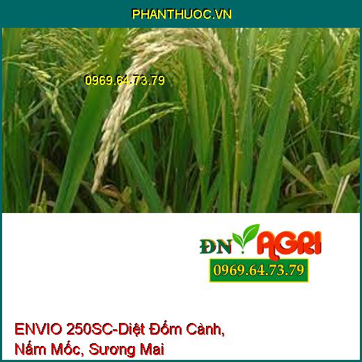 ENVIO 250SC-Diệt Đốm Cành, Nấm Mốc, Sương Mai