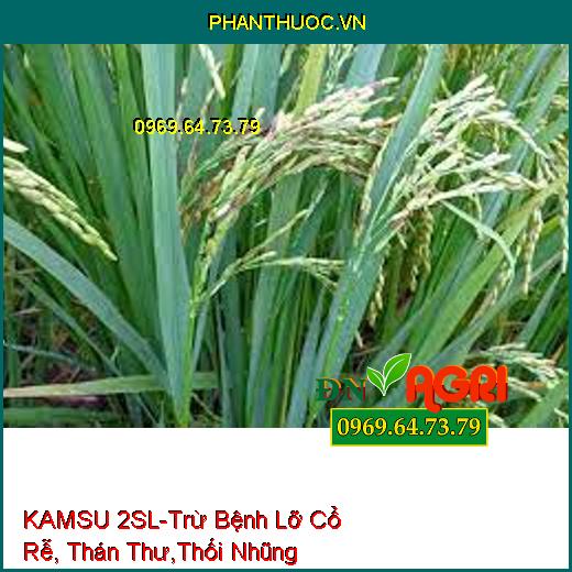 KAMSU 2SL-Trừ Bệnh Lỡ Cổ Rễ, Thán Thư,Thối Nhũng