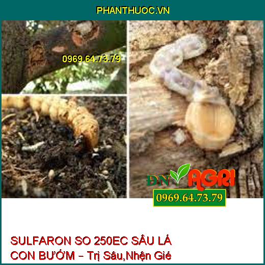 SULFARON SO 250EC SÂU LÁ CON BƯỚM – Trị Sâu,Nhện Gié