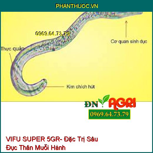 VIFU SUPER 5GR- Đặc Trị Sâu Đục Thân Muỗi Hành