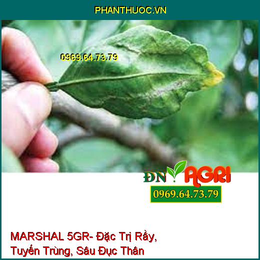 MARSHAL 5GR- Đặc Trị Rầy, Tuyến Trùng, Sâu Đục Thân