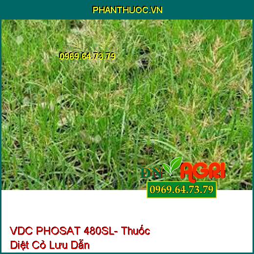 VDC PHOSAT 480SL- Thuốc Diệt Cỏ Lưu Dẫn