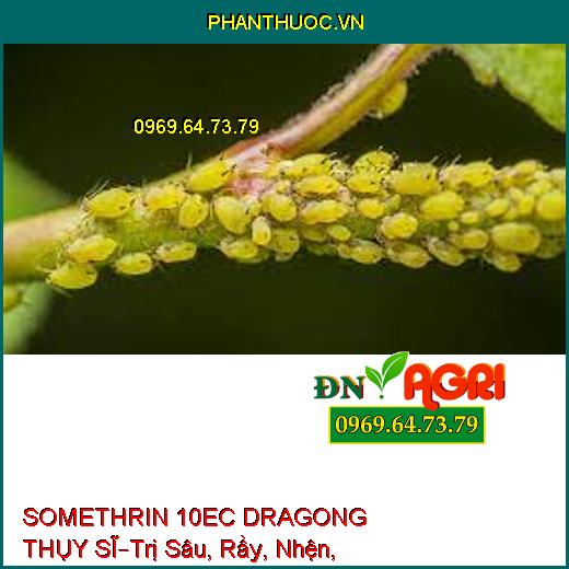 SOMETHRIN 10EC DRAGONG THỤY SĨ–Trị Sâu, Rầy, Nhện, Bọ Trĩ