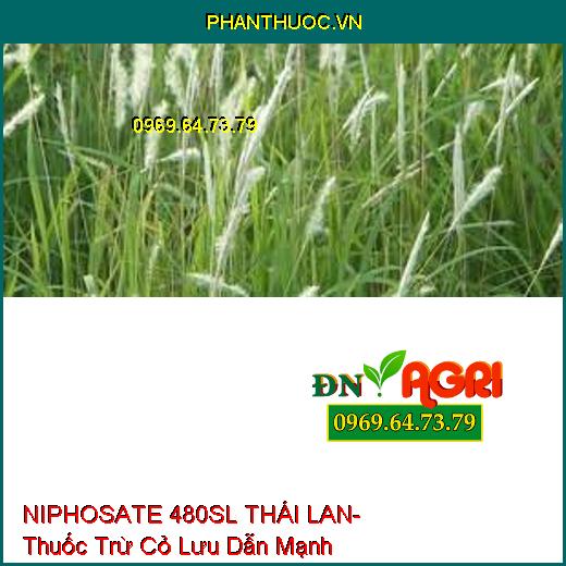 NIPHOSATE 480SL THÁI LAN- Thuốc Trừ Cỏ Lưu Dẫn Mạnh