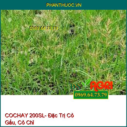 COCHAY 200SL- Đặc Trị Cỏ Gấu, Cỏ Chỉ