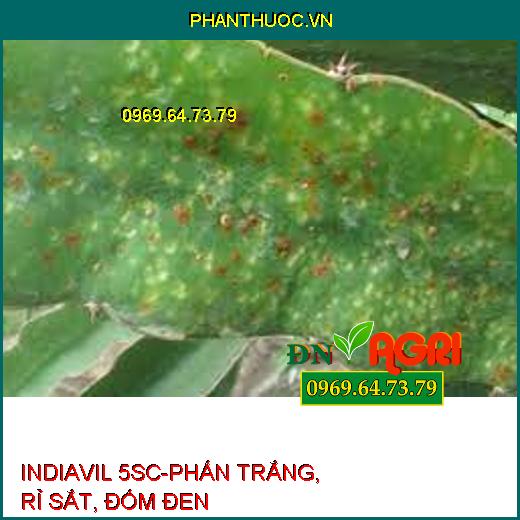 INDIAVIL 5SC-PHẤN TRẮNG, RỈ SẮT, ĐỐM ĐEN