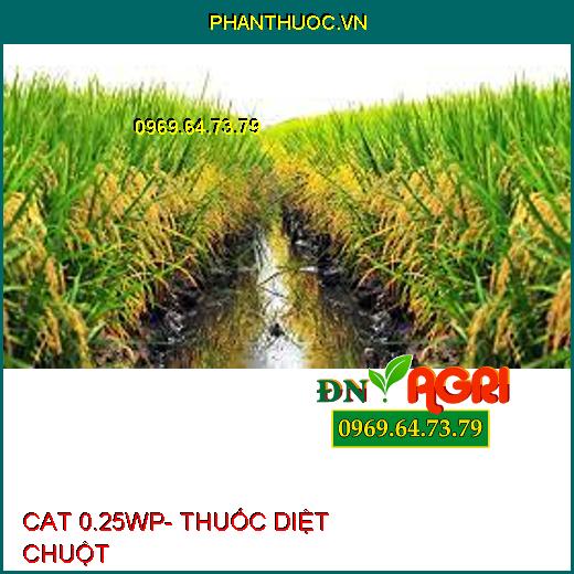 CAT 0.25WP- THUỐC DIỆT CHUỘT