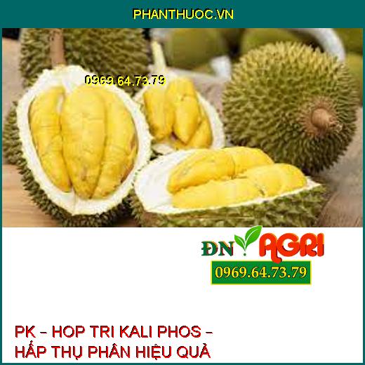 PK – HOP TRI KALI PHOS – HẤP THỤ PHÂN HIỆU QUẢ