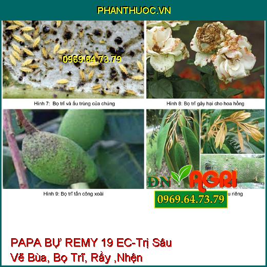 PAPA BỰ REMY 19 EC-Trị Sâu Vẽ Bùa, Bọ Trĩ, Rầy ,Nhện