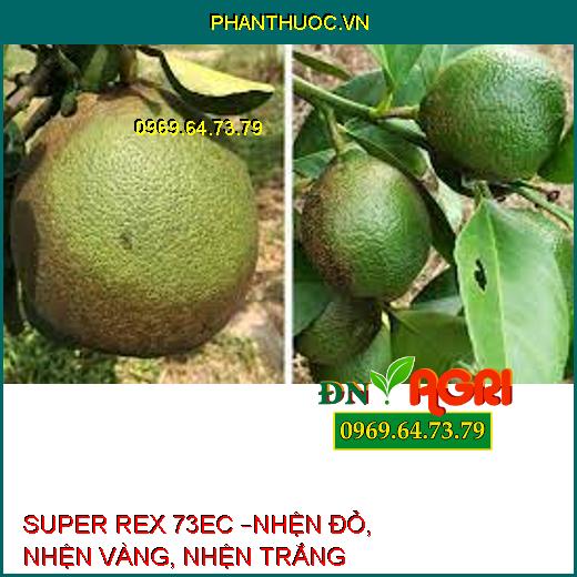 SUPER REX 73EC –NHỆN ĐỎ, NHỆN VÀNG, NHỆN TRẮNG