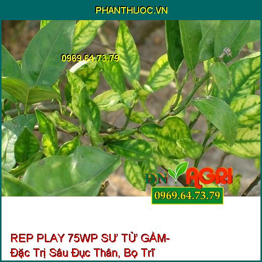 REP PLAY 75WP SƯ TỬ GẦM- Đặc Trị Sâu Đục Thân, Bọ Trĩ