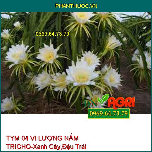 TYM 04 VI LƯỢNG NẤM TRICHO-Xanh Cây,Đậu Trái