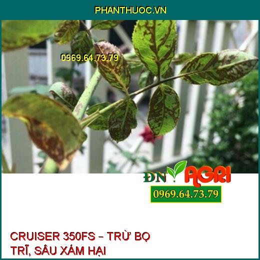 CRUISER 350FS – TRỪ BỌ TRĨ, SÂU XÁM HẠI