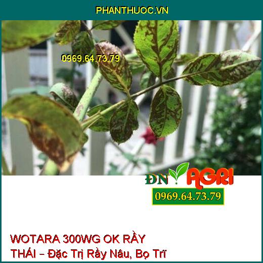 WOTARA 300WG OK RẦY THÁI – Đặc Trị Rầy Nâu, Bọ Trĩ