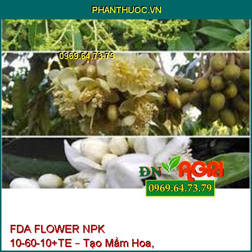 FDA FLOWER NPK 10-60-10+TE – Tạo Mầm Hoa, Kích Hoa