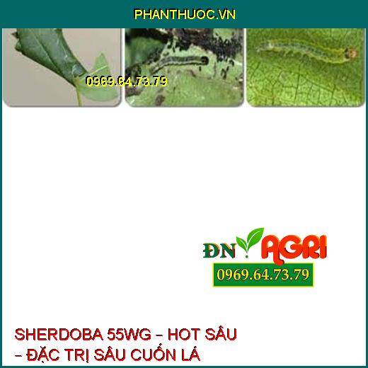 SHERDOBA 55WG – HOT SÂU – ĐẶC TRỊ SÂU CUỐN LÁ