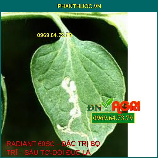 RADIANT 60SC – ĐẶC TRỊ BỌ TRĨ – SÂU TƠ-DÒI ĐỤC LÁ