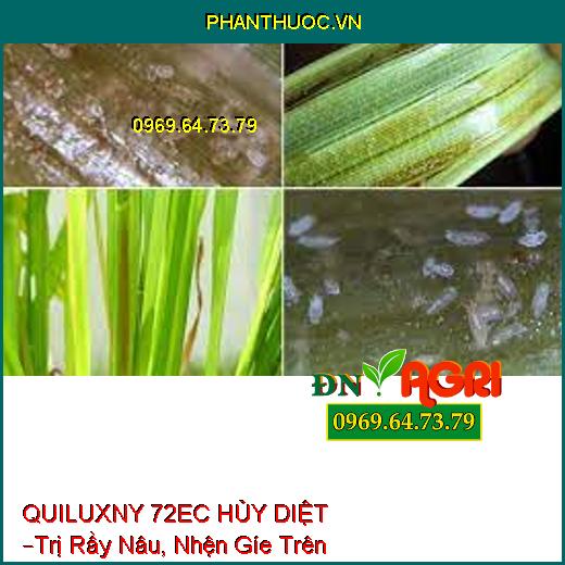 QUILUXNY 72EC HỦY DIỆT –Trị Rầy Nâu, Nhện Gíe Trên Lúa