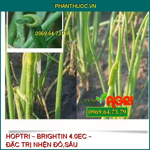 HOPTRI – BRIGHTIN 4.0EC – ĐẶC TRỊ NHỆN ĐỎ,SÂU