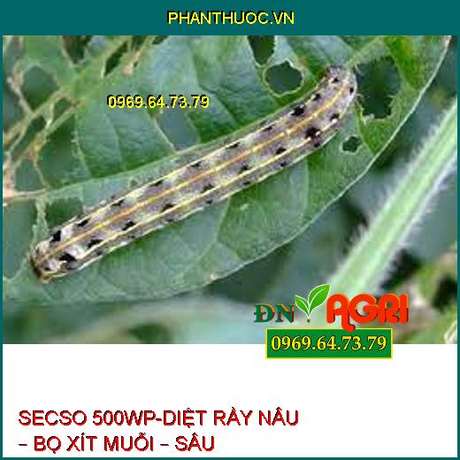 SECSO 500WP-DIỆT RẦY NÂU – BỌ XÍT MUỖI – SÂU KHOANG