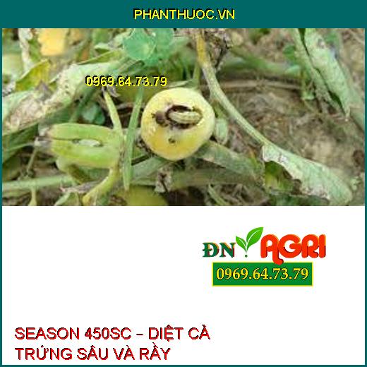 SEASON 450SC – DIỆT CẢ TRỨNG SÂU VÀ RẦY