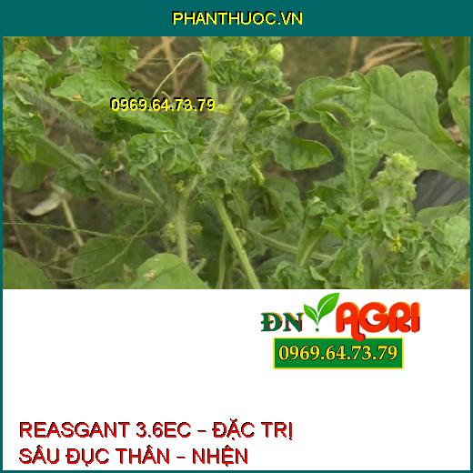 REASGANT 3.6EC – ĐẶC TRỊ SÂU ĐỤC THÂN – NHỆN