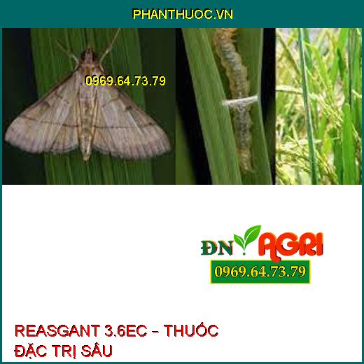 REASGANT 3.6EC – THUỐC ĐẶC TRỊ SÂU