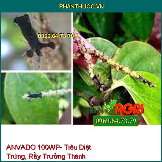 ANVADO 100WP- Tiêu Diệt Trứng, Rầy Trưởng Thành