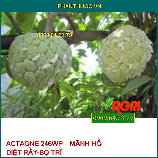 ACTAONE 246WP – MÃNH HỔ DIỆT RẦY-BỌ TRĨ