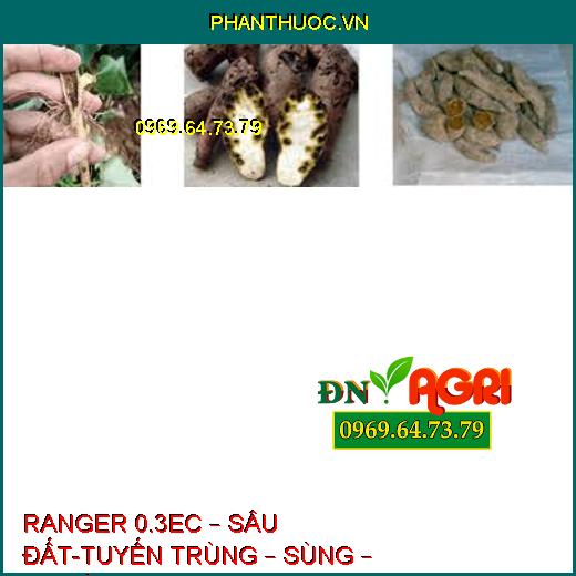 RANGER 0.3EC – SÂU ĐẤT-TUYẾN TRÙNG – SÙNG – BỌ HÀ