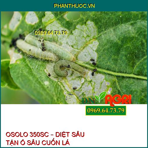 OSOLO 350SC – DIỆT SÂU TẬN Ổ SÂU CUỐN LÁ