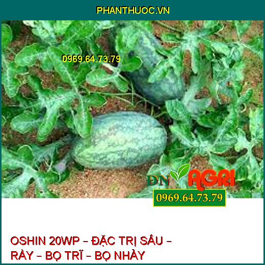 OSHIN 20WP – ĐẶC TRỊ SÂU – RẦY – BỌ TRĨ – BỌ NHẢY