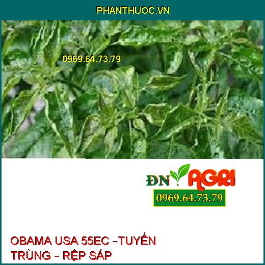 OBAMA USA 55EC –TUYẾN TRÙNG – RỆP SÁP 