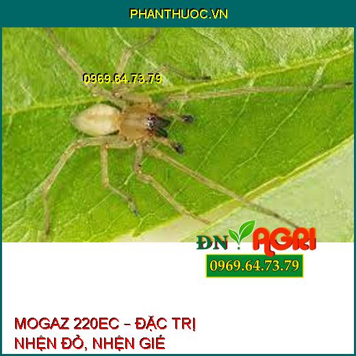 MOGAZ 220EC – ĐẶC TRỊ NHỆN ĐỎ, NHỆN GIÉ