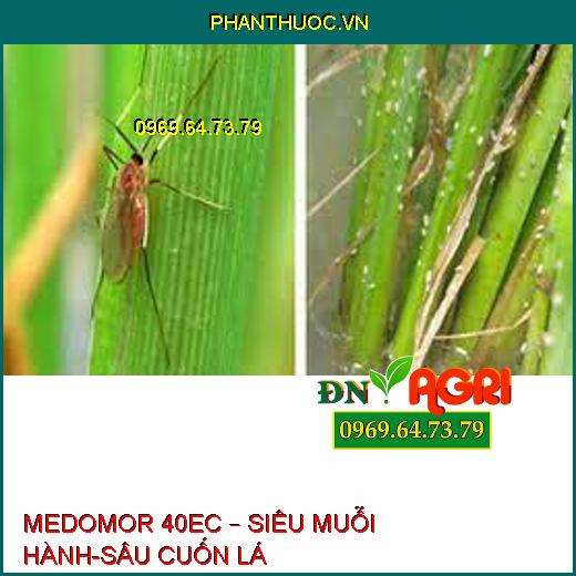 MEDOMOR 40EC – SIÊU MUỖI HÀNH-SÂU CUỐN LÁ