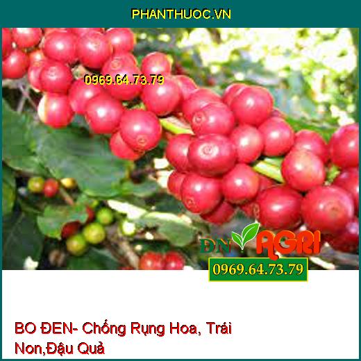 BO ĐEN- Chống Rụng Hoa, Trái Non,Đậu Quả