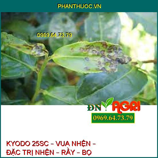 KYODO 25SC – VUA NHỆN – ĐẶC TRỊ NHỆN – RẦY – BỌ TRĨ