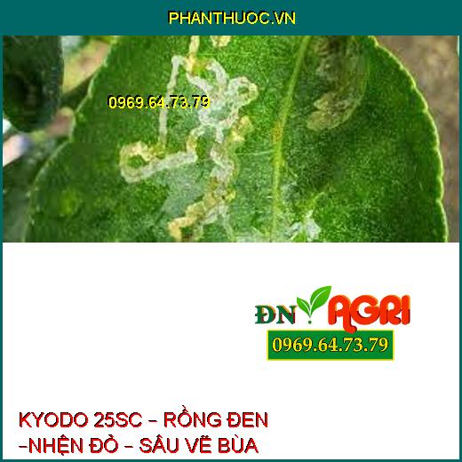 KYODO 25SC – RỒNG ĐEN –NHỆN ĐỎ – SÂU VẼ BÙA