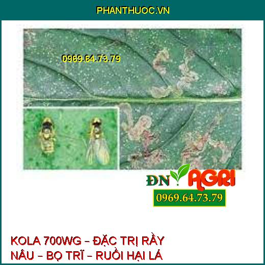 KOLA 700WG – ĐẶC TRỊ RẦY NÂU – BỌ TRĨ – RUỒI HẠI LÁ